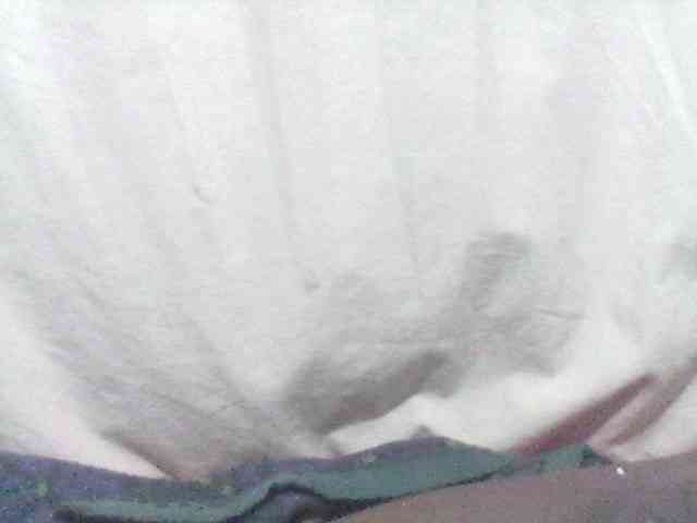 Amelia254-1 webcam
