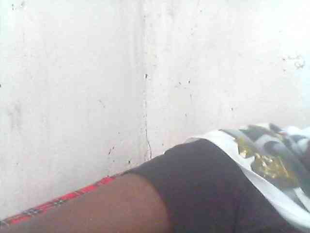 Amelia254-1 webcam