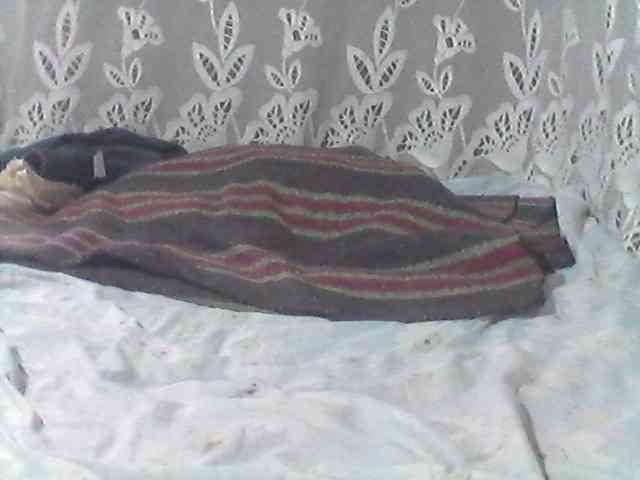 Amelia254-1 webcam