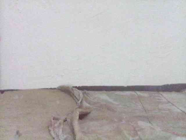 Amelia254-1 webcam