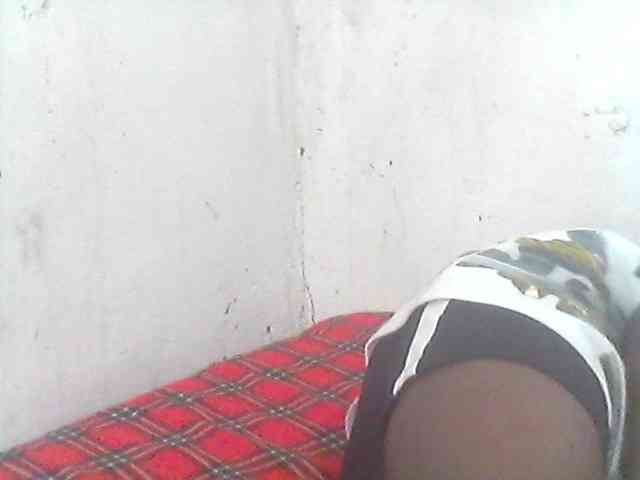 Amelia254-1 webcam