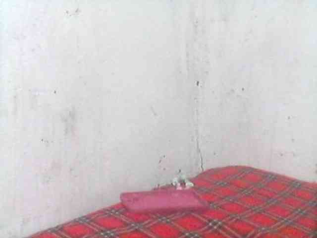 Amelia254-1 webcam