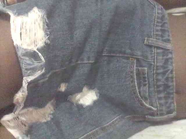Amelia254-1 webcam