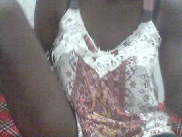 Amelia254-1 webcam