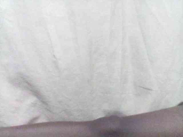 Amelia254-1 webcam