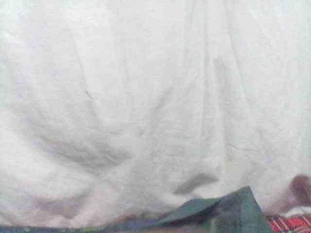 Amelia254-1 webcam