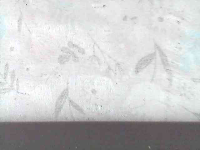 Amelia254-1 webcam