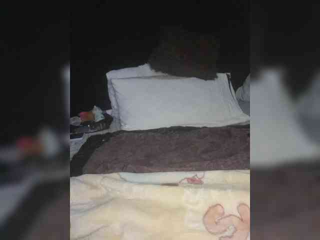 Twnkytwinkle webcam