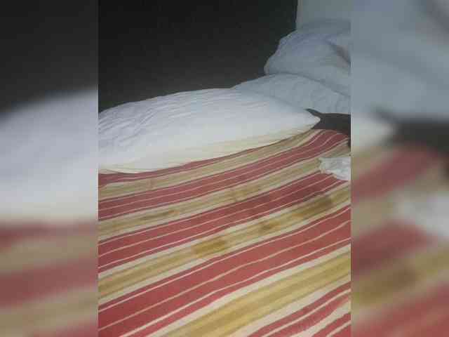 Twnkytwinkle webcam