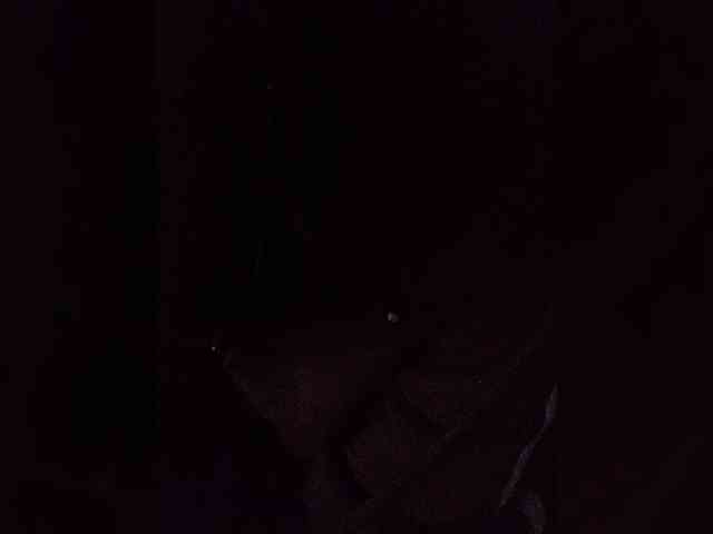 Twnkytwinkle webcam