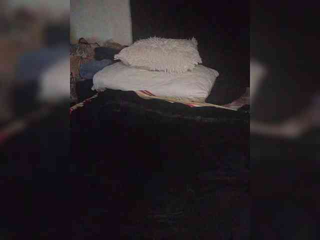 Twnkytwinkle webcam