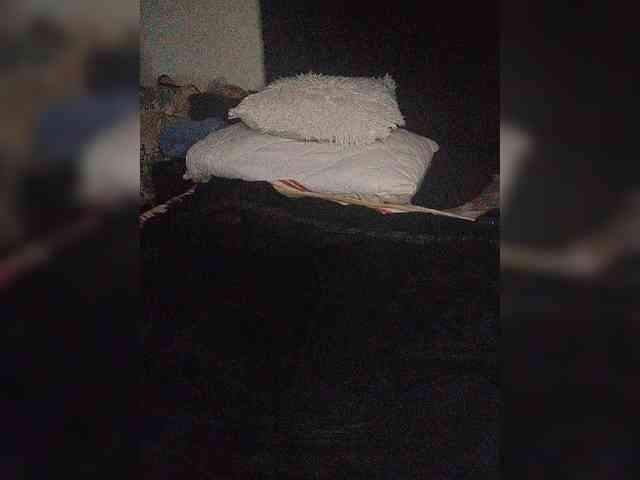 Twnkytwinkle webcam