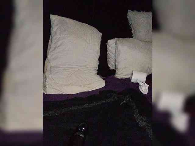 Twnkytwinkle webcam