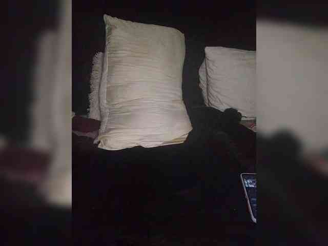 Twnkytwinkle webcam
