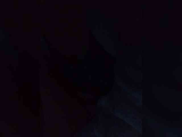 Twnkytwinkle webcam