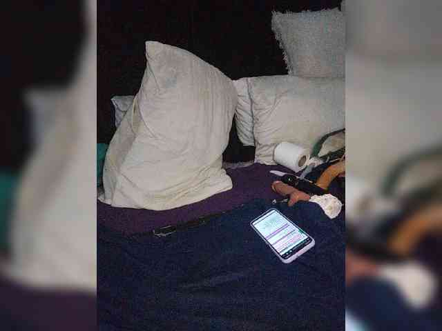 Twnkytwinkle webcam