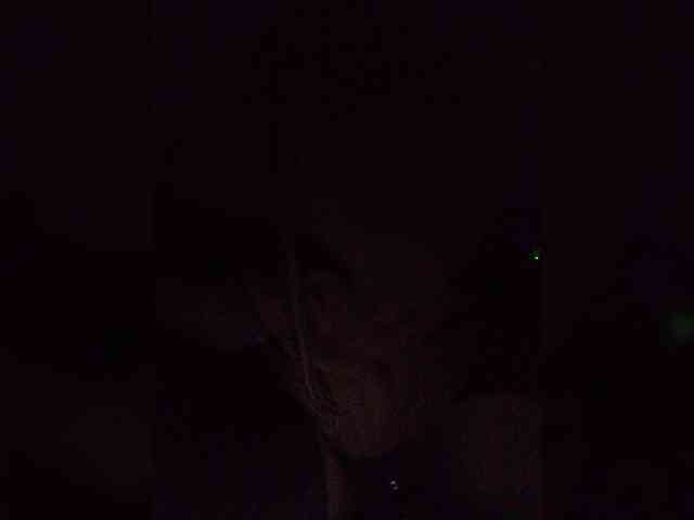 Twnkytwinkle webcam