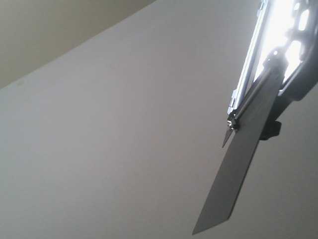 Preview of spiceynelly