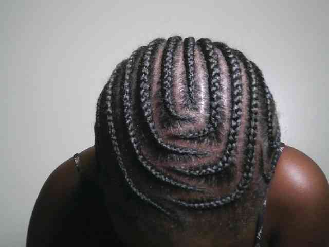 Modella: Spiceynelly