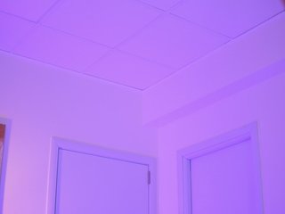 BlackCloverX Porn Show