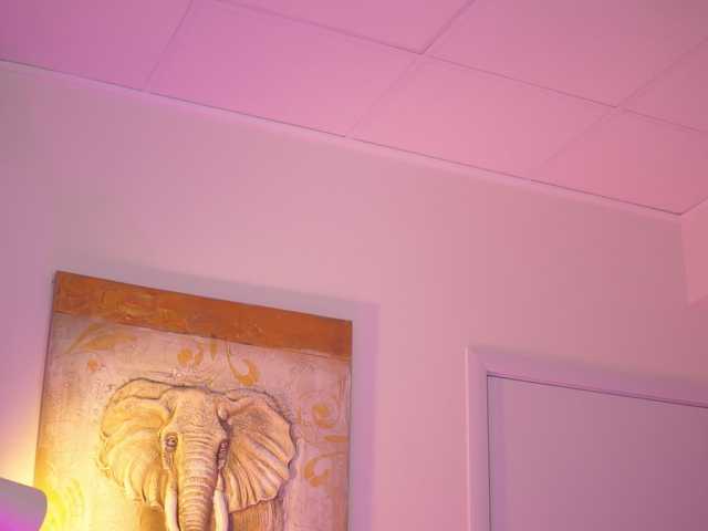 BlackCloverX live cam on BongaCams