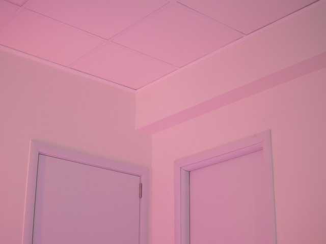 BlackCloverX live cam on BongaCams