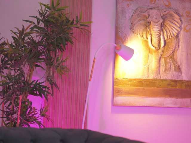 blackcloverx cam belle