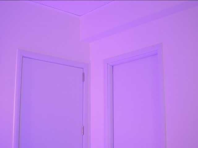 BlackCloverX live webcam show