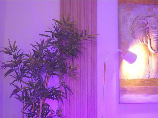 BlackCloverX live webcam show