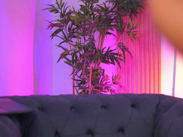 BlackCloverX