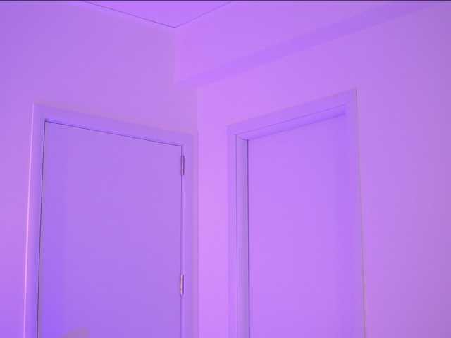 BlackCloverX live webcam show