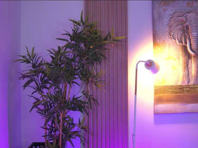 BlackCloverX live cam