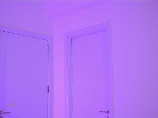 BlackCloverX live webcam show