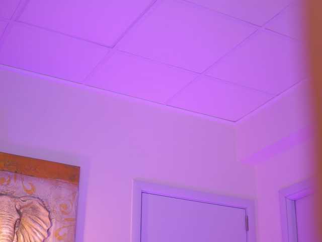 Preview of blackcloverx