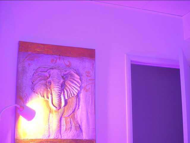 BlackCloverX live webcam show
