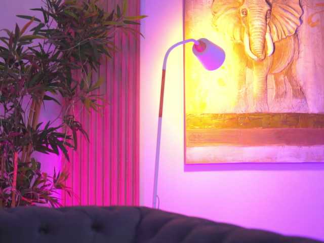 BlackCloverX webcam