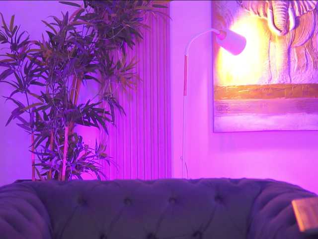 BlackCloverX live webcam show
