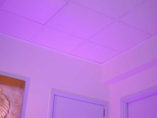 Preview of blackcloverx