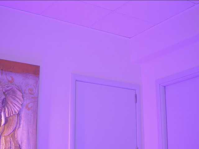 BlackCloverX live webcam show