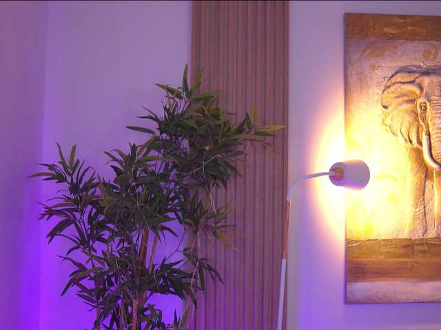 BlackCloverX live cam on BongaCams