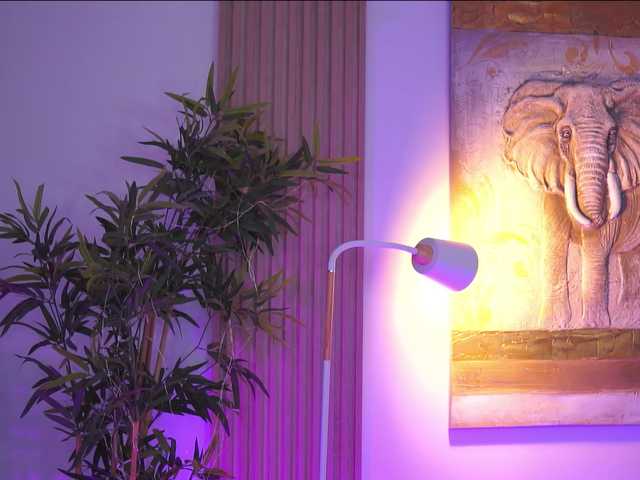 BlackCloverX live cam on BongaCams
