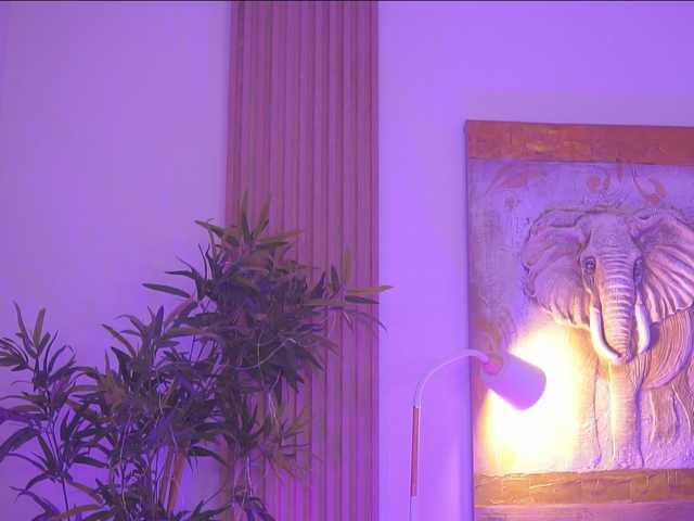 BlackCloverX live webcam show