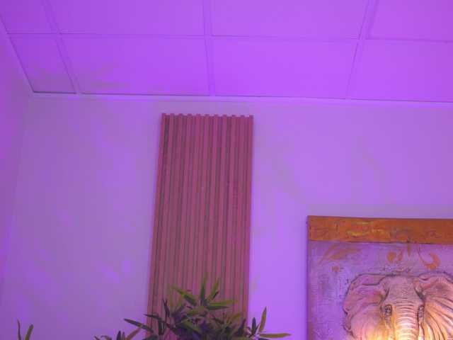 Preview of blackcloverx