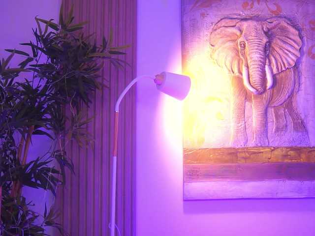 BlackCloverX live cam on BongaCams