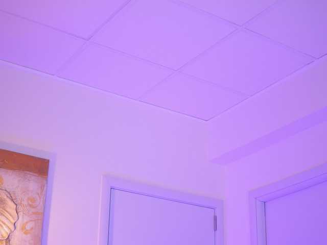 BlackCloverX live cam on BongaCams