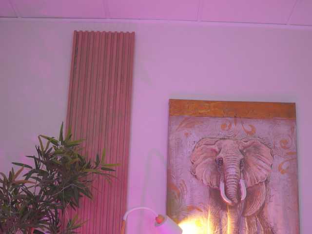 BlackCloverX live cam on BongaCams