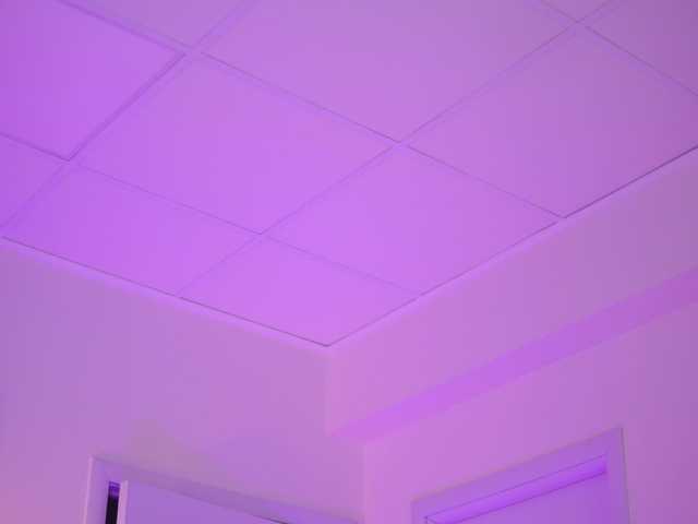 Preview of blackcloverx