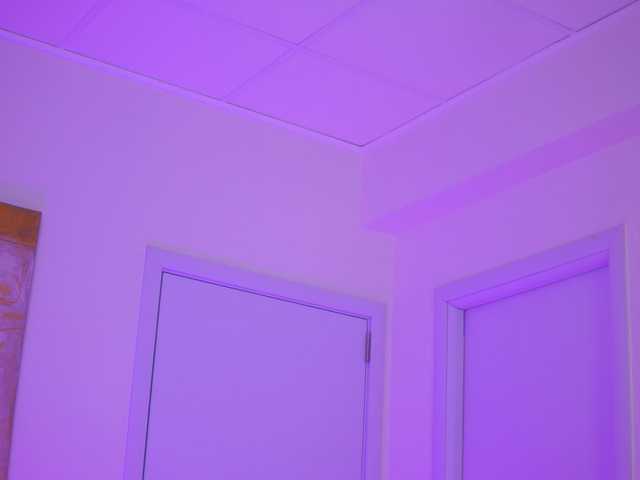 Preview of blackcloverx