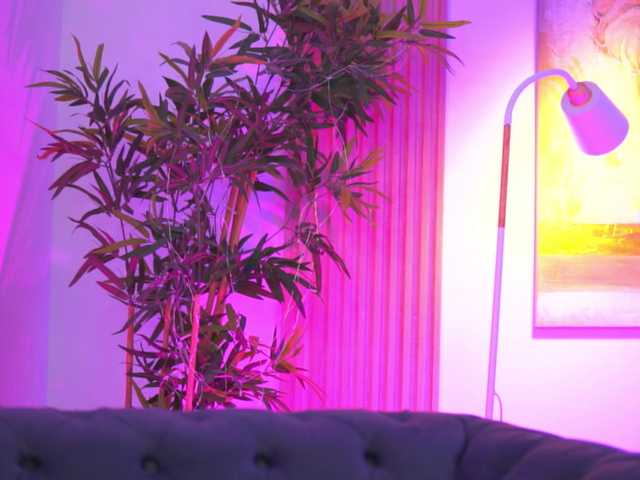 BlackCloverX