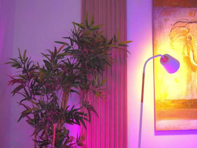 BlackCloverX live cam on BongaCams